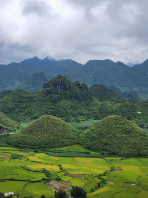 HA GIANG LOOP (4 Days & 3 Nights) by car - With bus